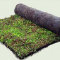 Tapis de sedum et vivaces