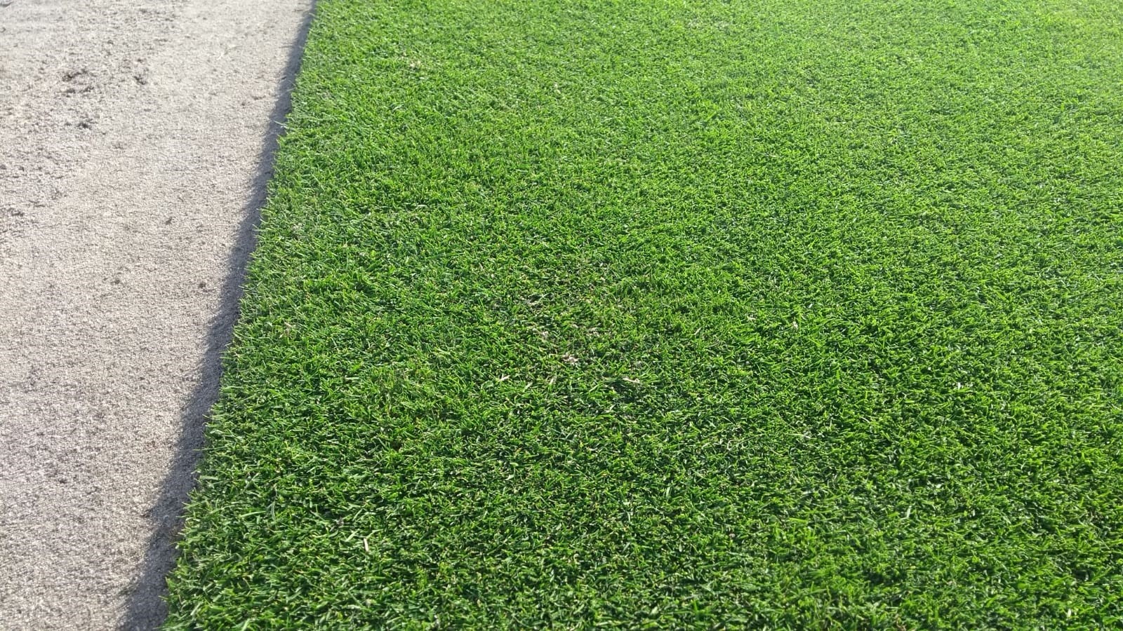 Autres gazons, gazon sport, green golf