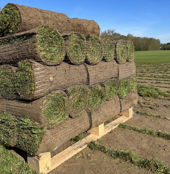 palette de gazon en rouleau