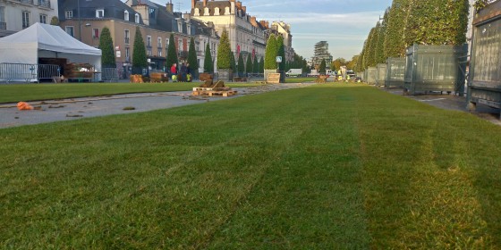 gazon en rouleau à Rennes.jpg