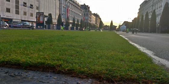 rouleau gazon à Rennes.jpg