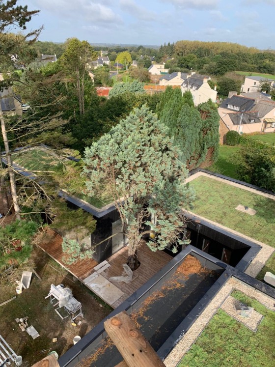 Chantier en toitures végétalisées