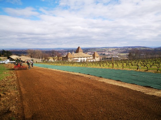 Préparation de grass protecta