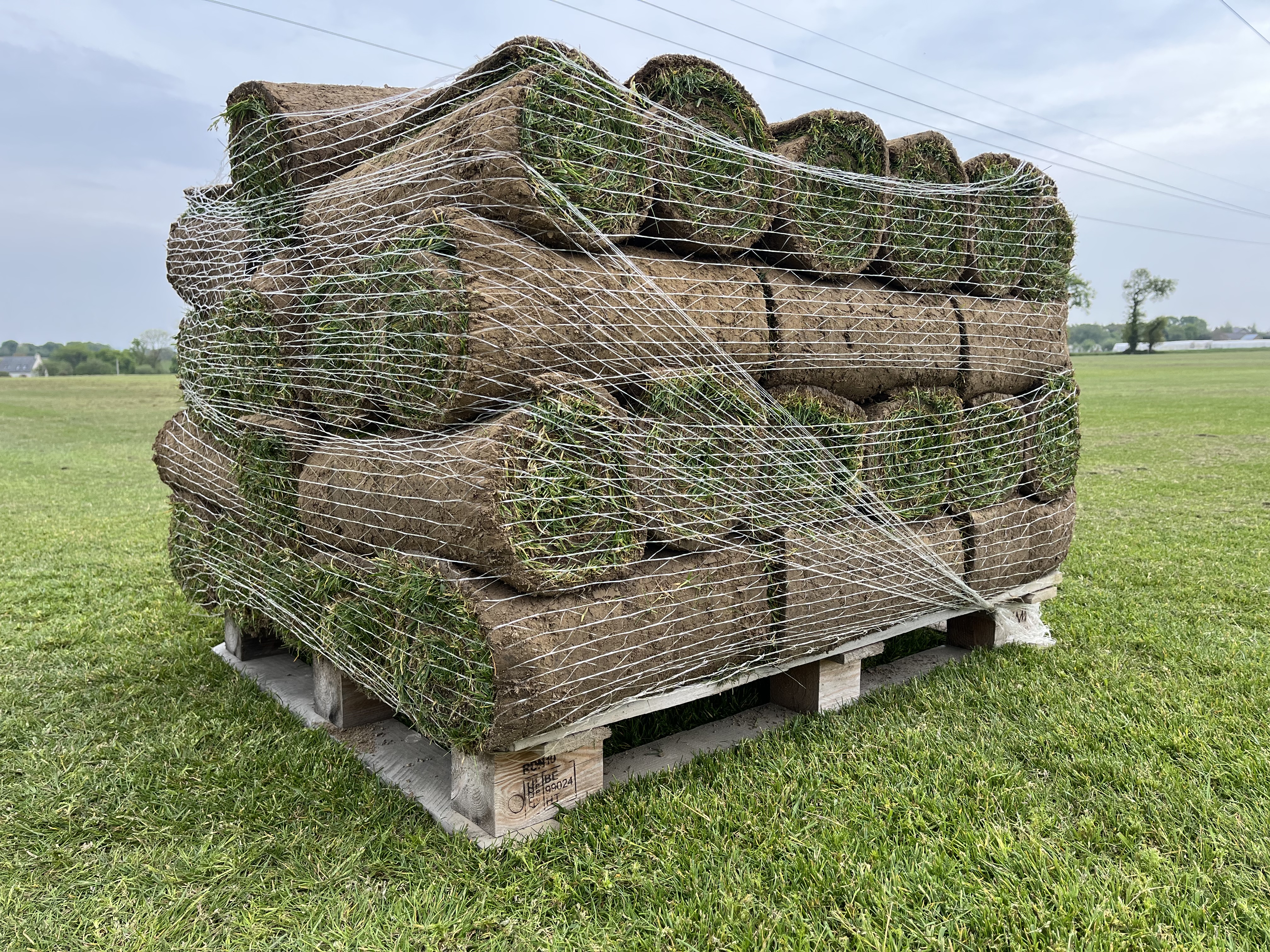 Production Gazon en rouleaux plaques Angers