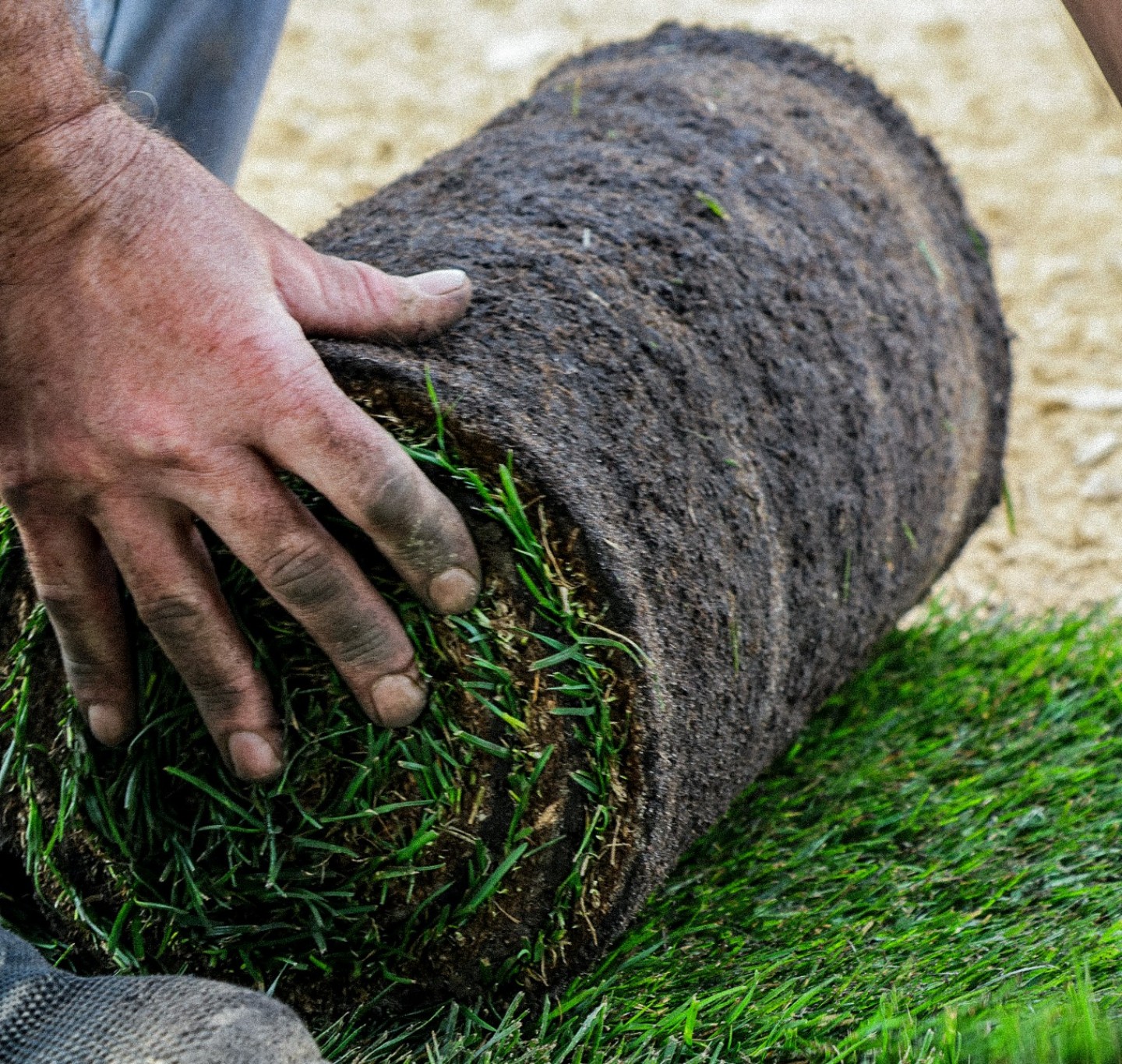gazon Rustique sur sable