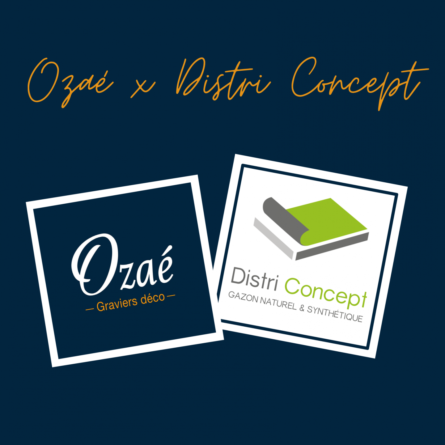 Distri Concept & OZAE
