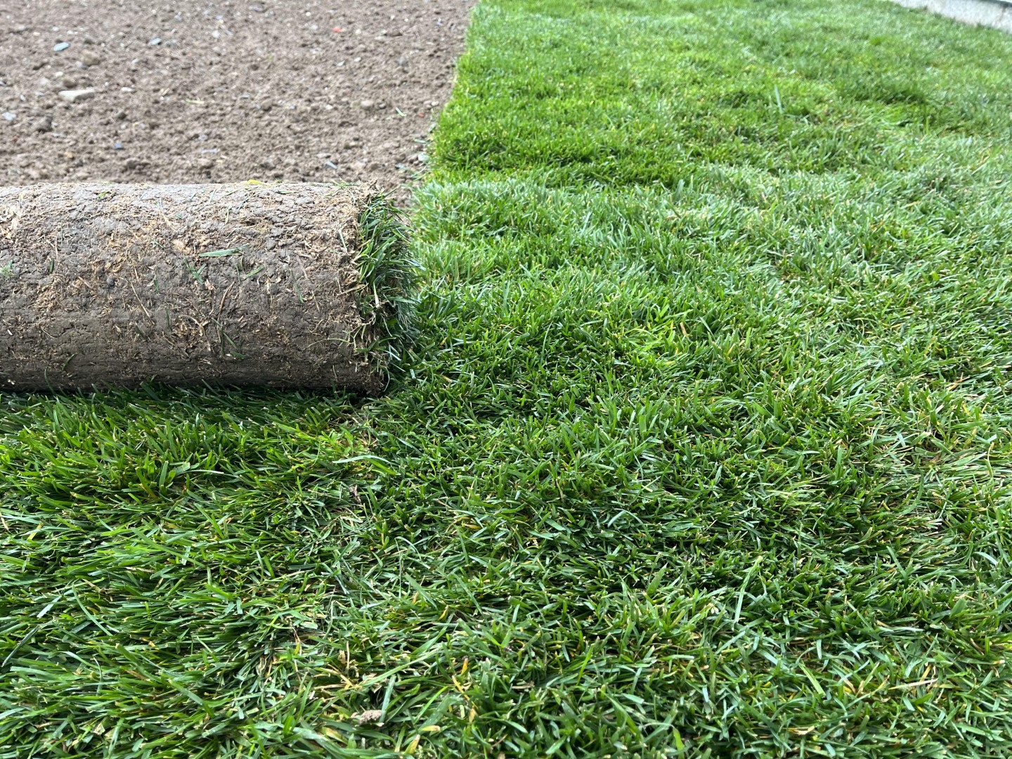 Gazon en rouleau Vendée