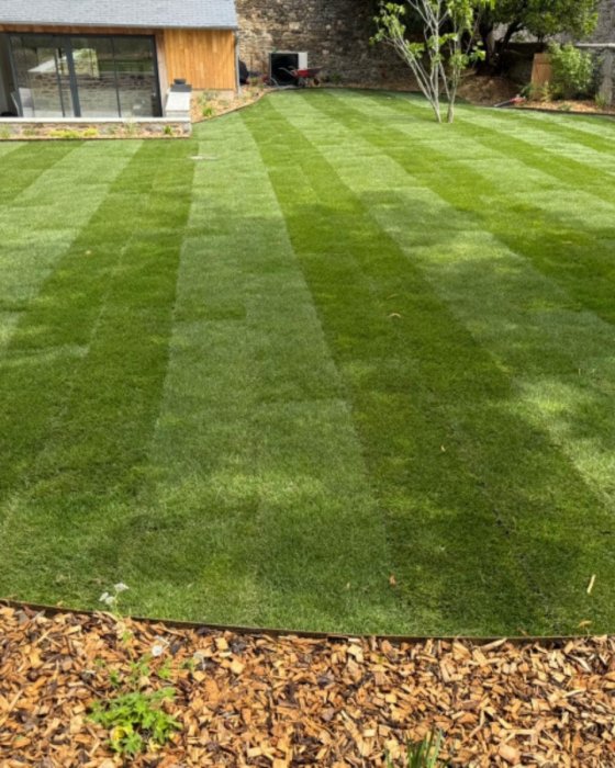 Paysage de bretagne - 2.png