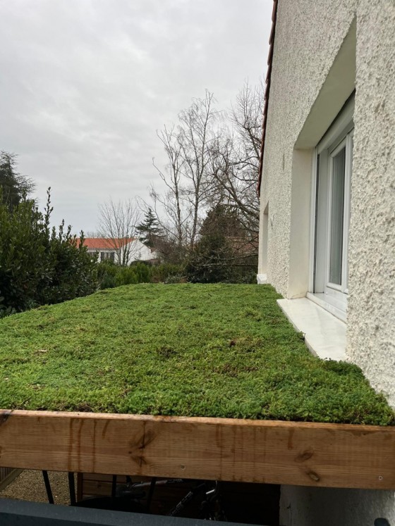 Parket Bois - bacs de sedum - dec25 (1).jpg