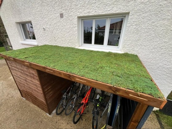 Parket Bois - bacs de sedum - dec25.jpg